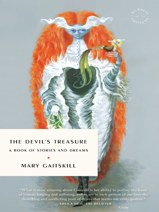 Title details for The Devil's Treasure by Mary Gaitskill - Wait list